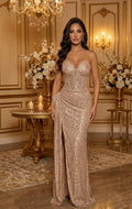 The Stardust Corset Gown